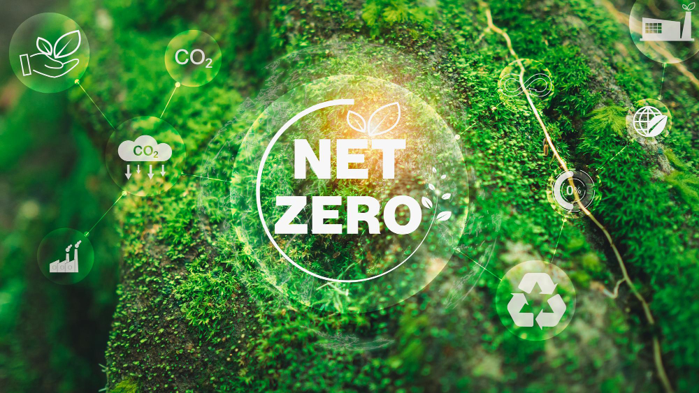 Pathways to Net Zero