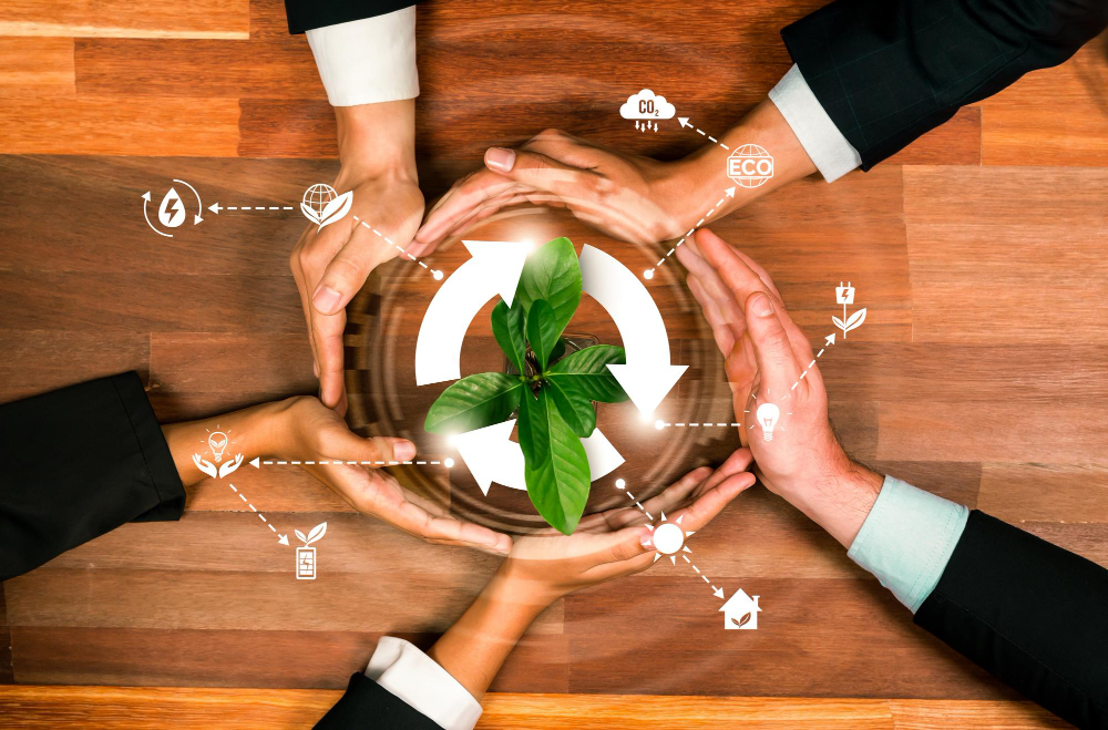 Environmental Sustainability Skills for Managers (ESSM)